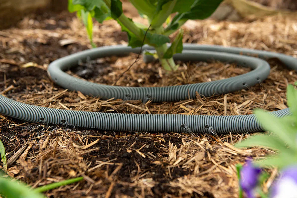 How to Use Grey Water in the Garden