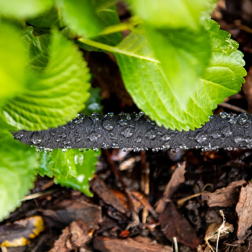 Efficient Gardening: Grouping plants with similar water needs