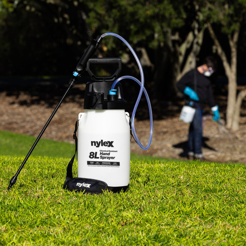 When Is the Best Time to Spray Weeds? A Seasonal Weed Control Guide