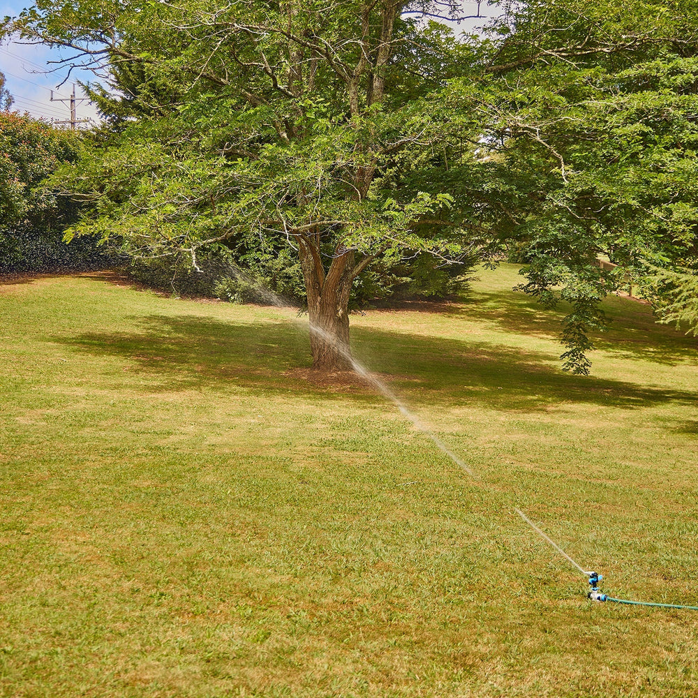 Spring Garden Tidy-Up: 8 Jobs to Get Your Garden Ready