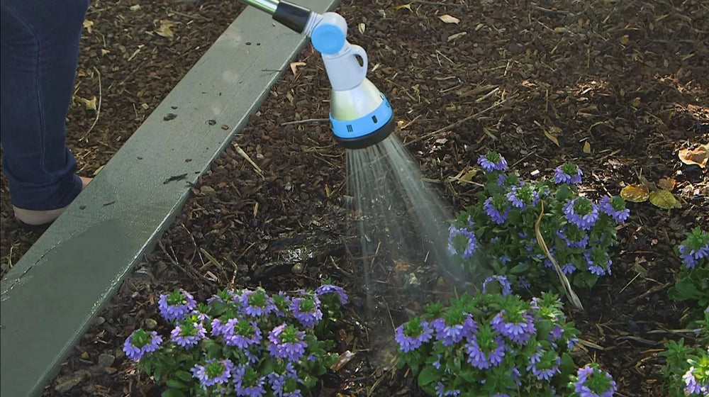 Nylex Essential Watering Tips – Deep Watering