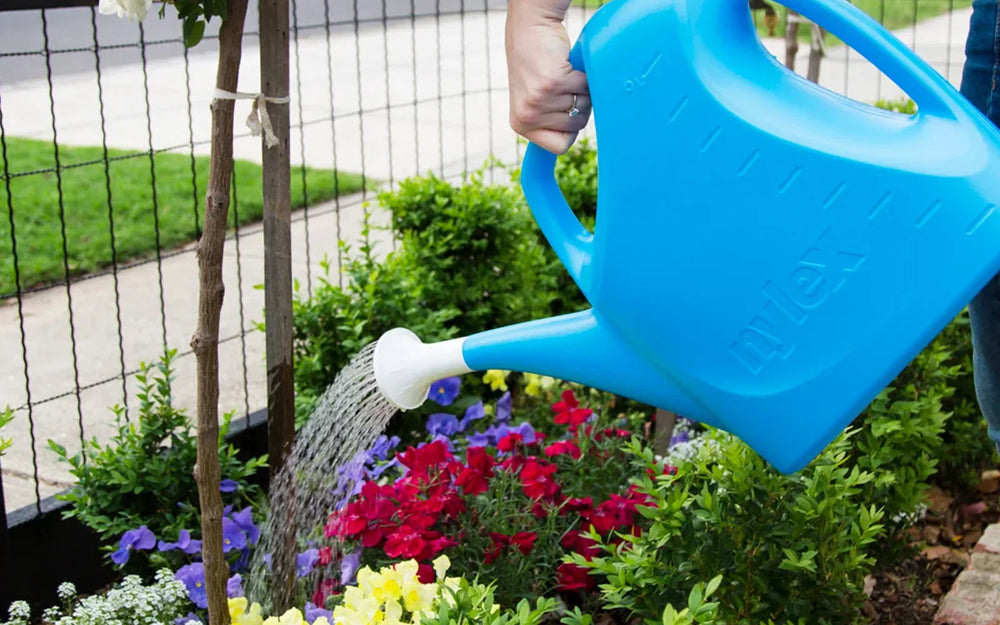 Hand Watering: A Personal Touch for Healthy Potted Plants and Small Garden Areas