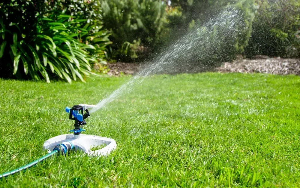 How to Water Your Garden Effectively and Efficiently