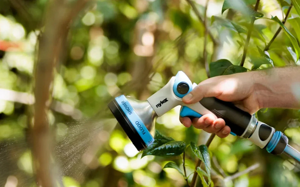 When to water your garden?