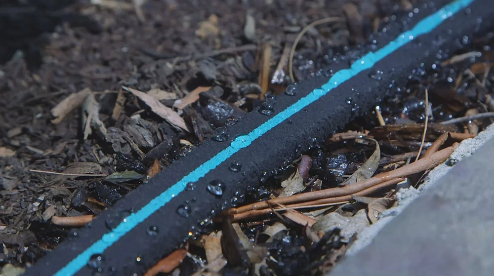 Nylex Essential Watering Tips – Efficient Watering