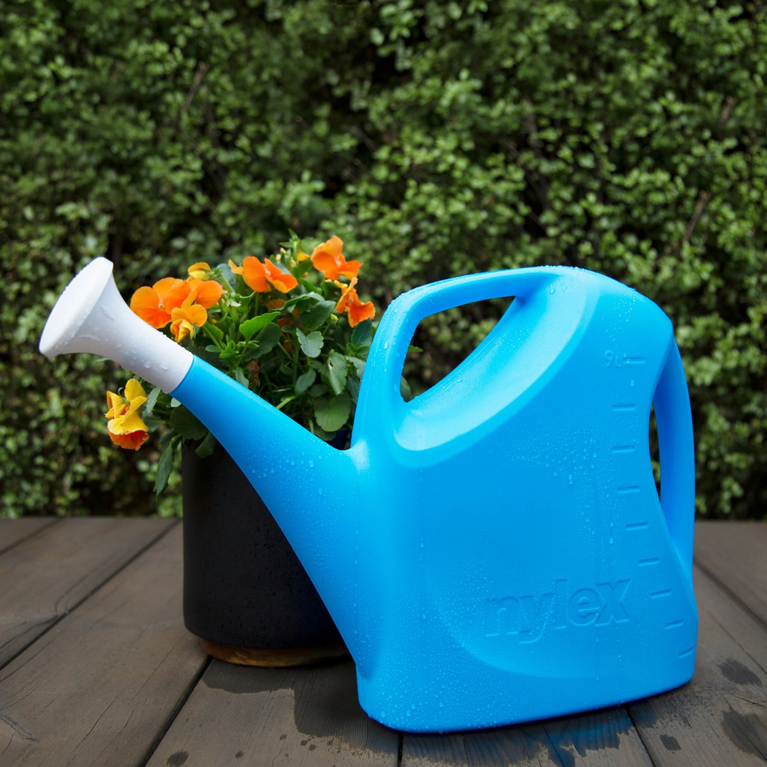 9L Watering Can Blue