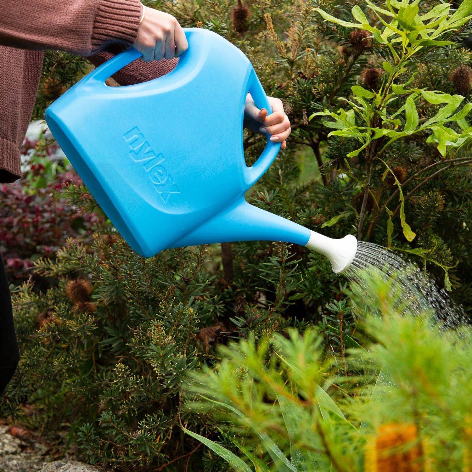 9L Watering Can Blue