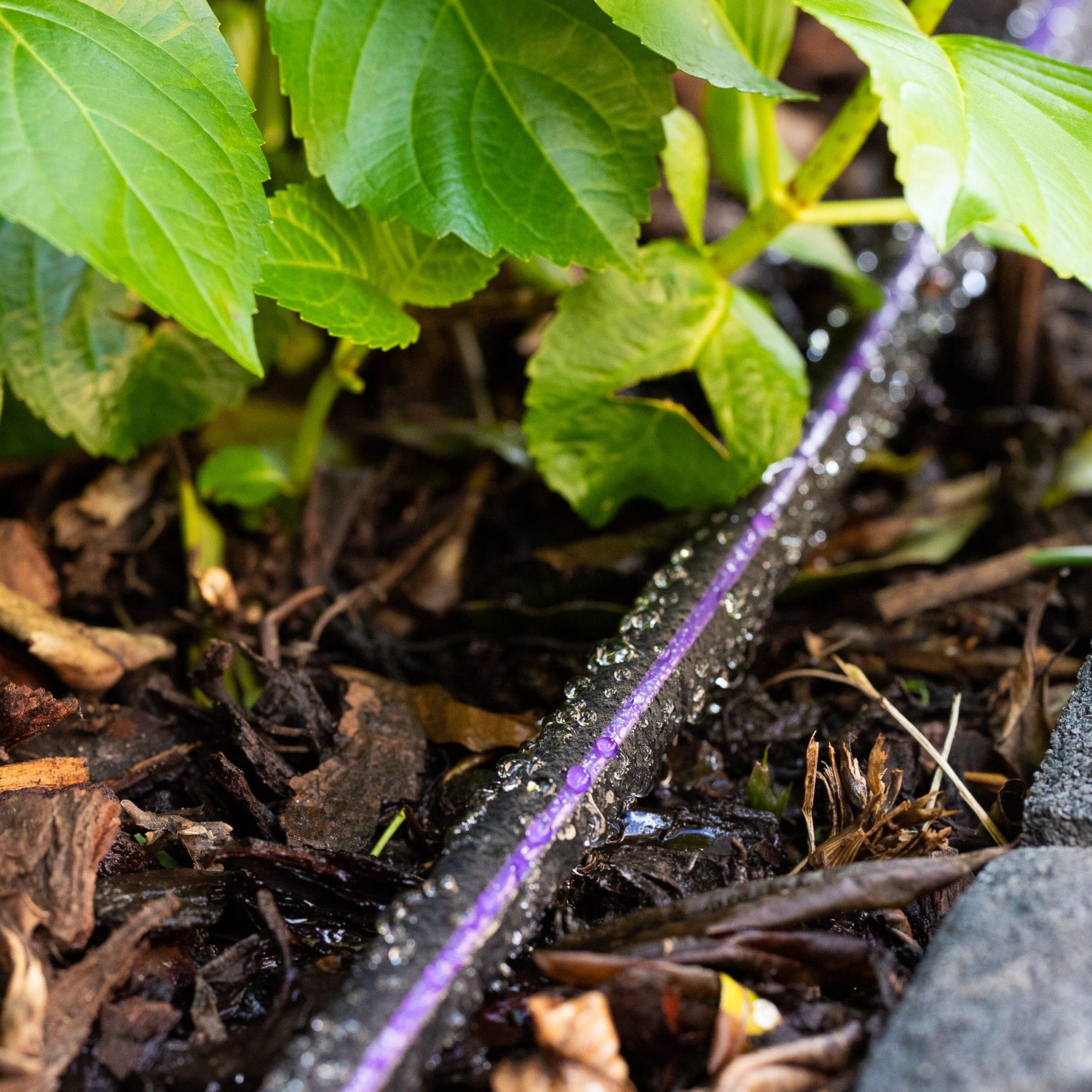 Recycled Weeper Hose