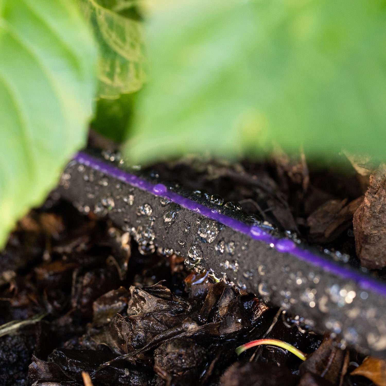 Recycled Weeper Hose