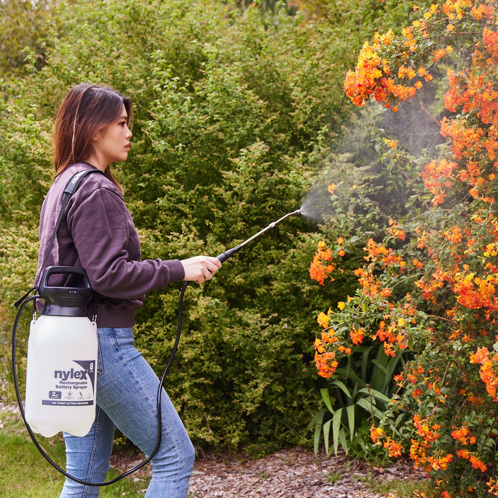 cordless sprayer garden 8L Battery Sprayer