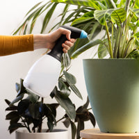 1.2L Battery Hand Sprayer