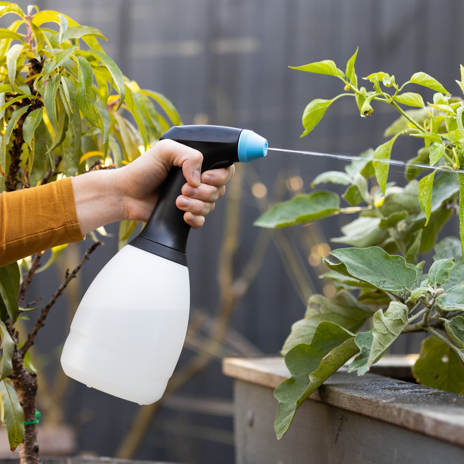 battery operated garden sprayer australia 1.2L Battery Hand Sprayer – Nylex