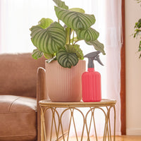 750ml Alpine Trigger Sprayer