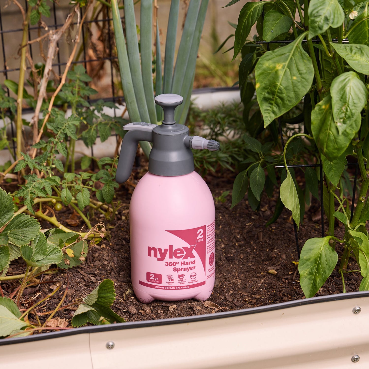 2L 360° Hand Sprayer - Ballet Blush