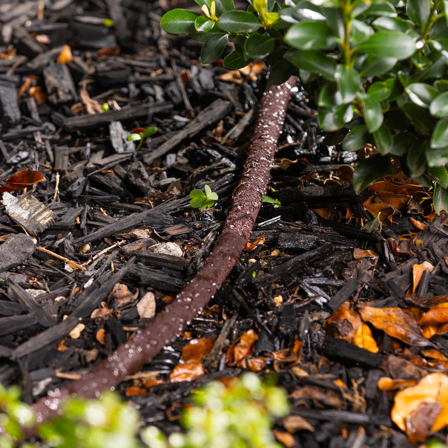 10m Weeper Hose - Brown