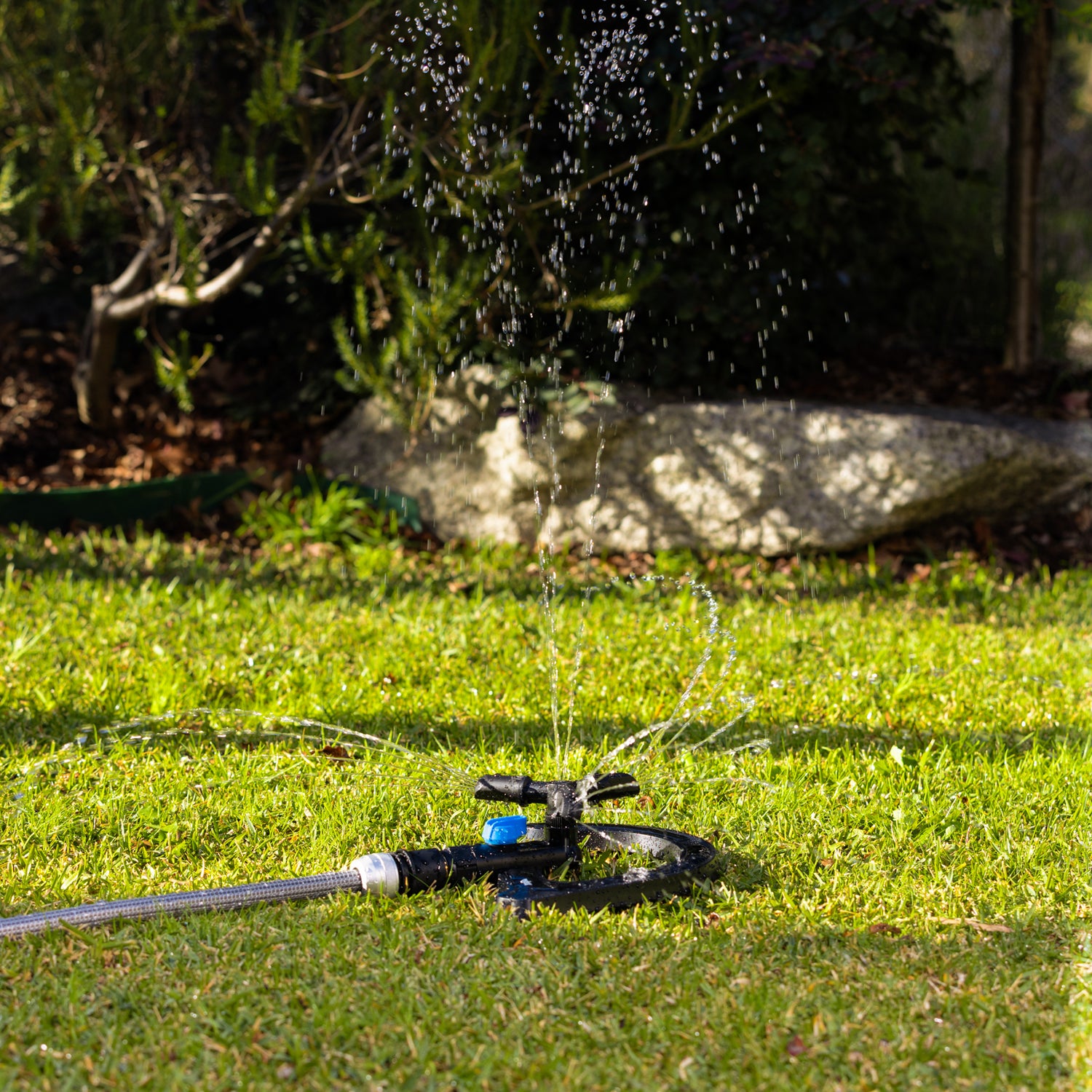 3 Arm Hook Sprinkler