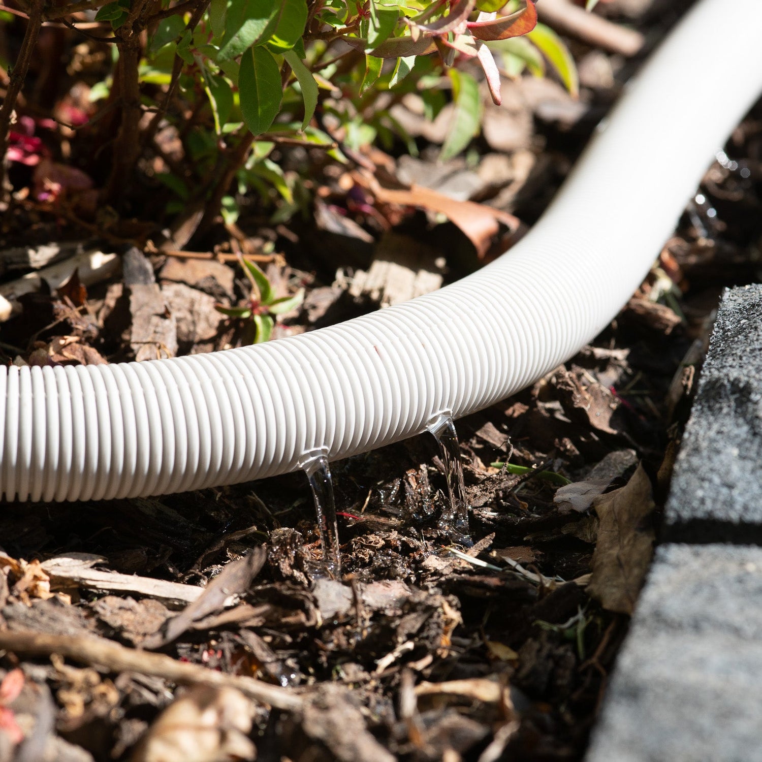 22mm x 2.5m Greywater Hose