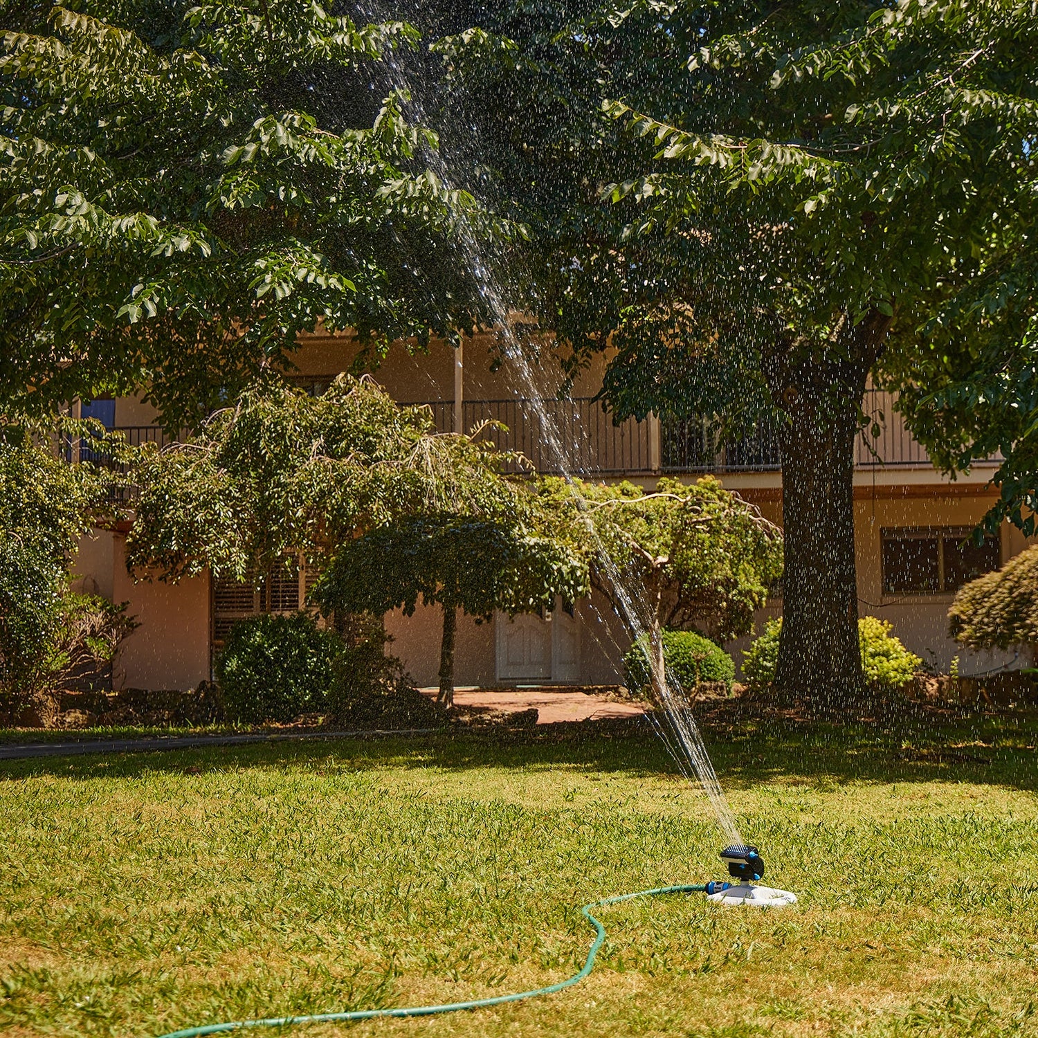 Oscillating Sprinkler Plus