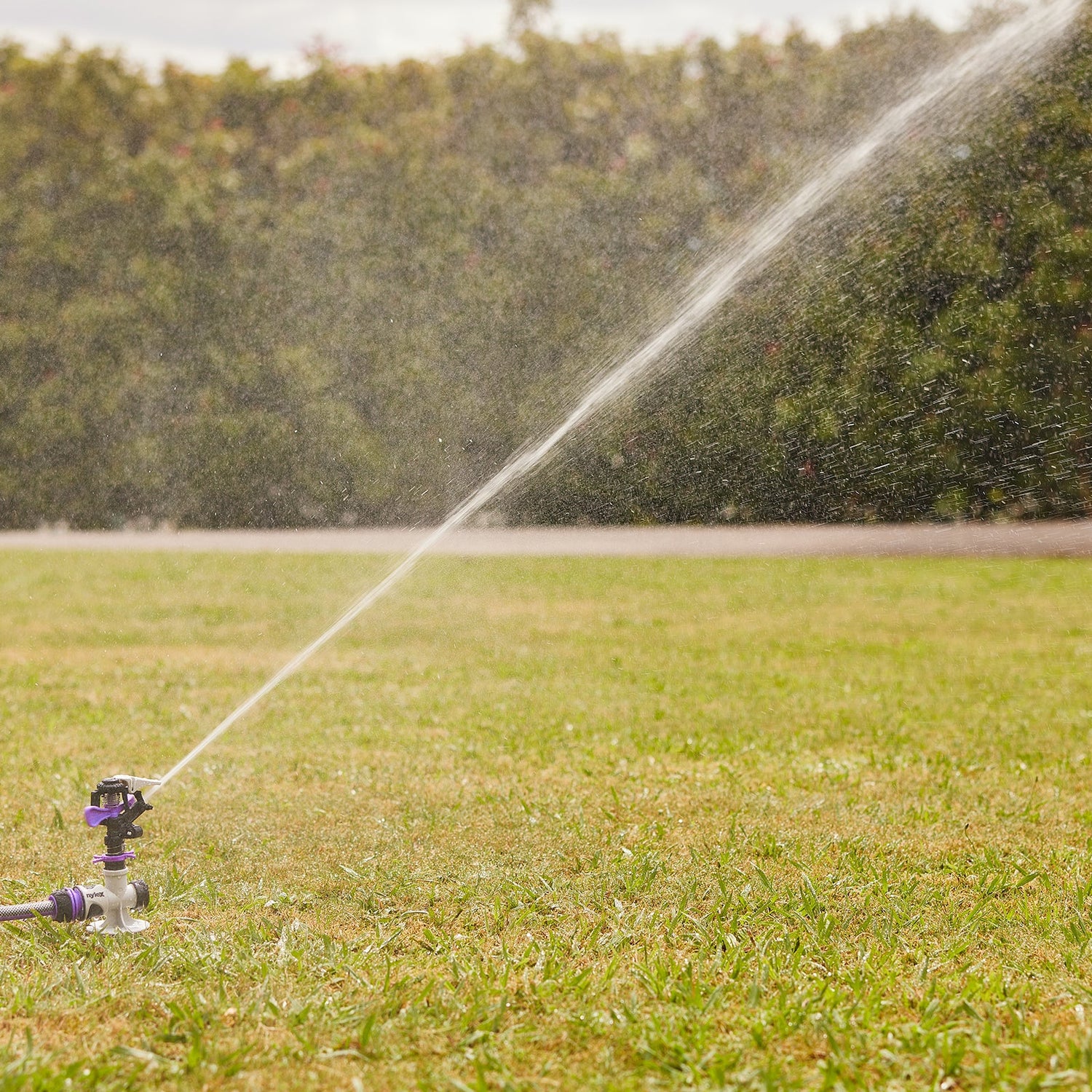 Impact Spike Sprinkler