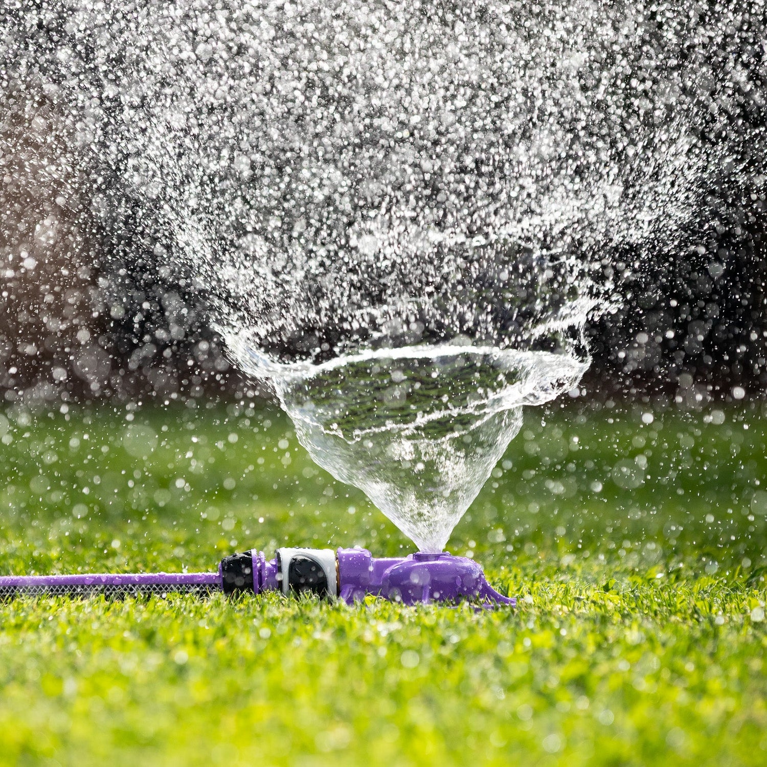 Recycle Dome Sprinkler