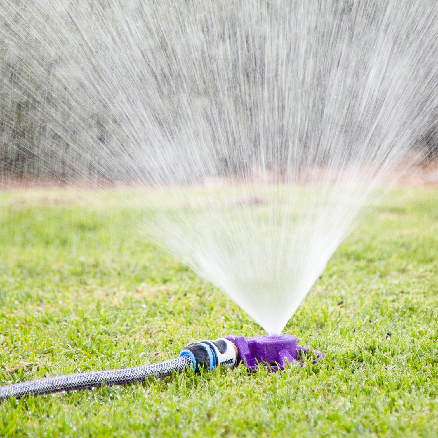 Recycle Dome Sprinkler